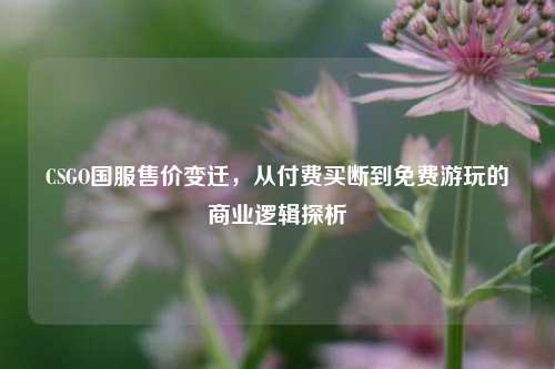 CSGO国服售价变迁,从付费买断到免费游玩的商业逻辑探析