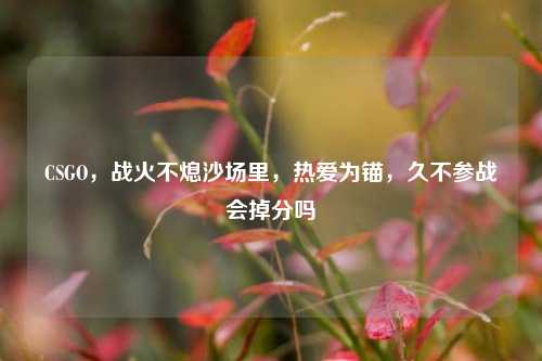 CSGO,战火不熄沙场里,热爱为锚,久不参战会掉分吗