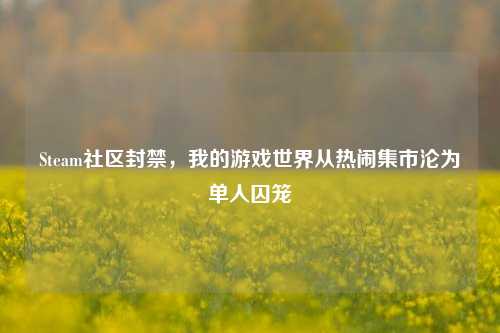 Steam社区封禁,我的游戏世界从热闹集市沦为单人囚笼