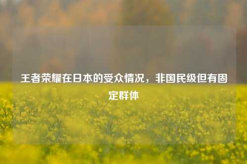 王者荣耀在日本的受众情况,非国民级但有固定群体