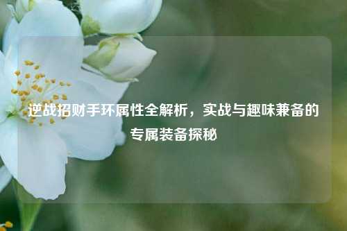逆战招财手环属性全解析,实战与趣味兼备的专属装备探秘