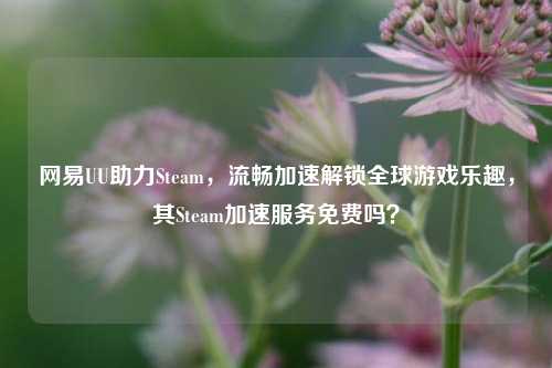 网易UU助力Steam，流畅加速解锁全球游戏乐趣，其Steam加速服务免费吗？
