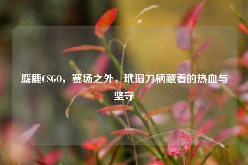 麋鹿CSGO,赛场之外,玳瑁刀柄藏着的热血与坚守