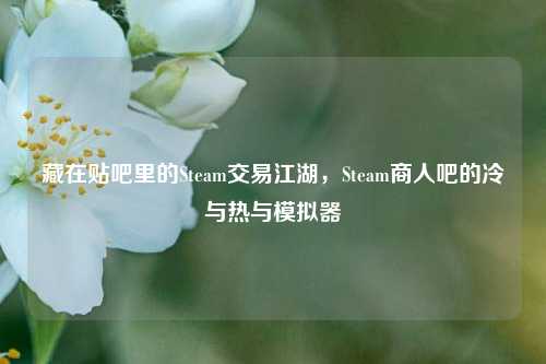 藏在贴吧里的Steam交易江湖，Steam商人吧的冷与热与模拟器