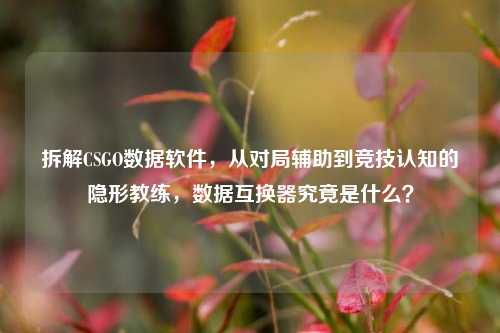 拆解CSGO数据软件,从对局辅助到竞技认知的隐形教练,数据互换器究竟是什么?