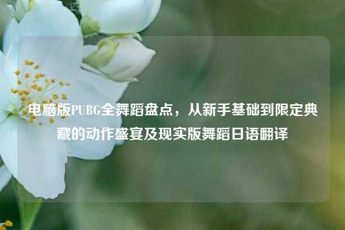 电脑版PUBG全舞蹈盘点,从新手基础到限定典藏的动作盛宴及现实版舞蹈日语翻译