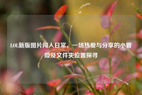 LOL新版图片闯入日常,一场热爱与分享的小冒险及文件夹位置探寻