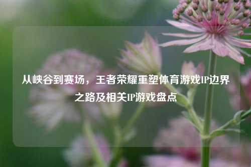 从峡谷到赛场,王者荣耀重塑体育游戏IP边界之路及相关IP游戏盘点