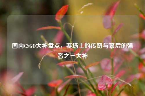 国内CSGO大神盘点,赛场上的传奇与幕后的强者之三大神