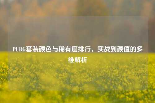 PUBG套装颜色与稀有度排行,实战到颜值的多维解析