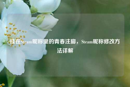 挂在Steam昵称里的青春注脚，Steam昵称修改方法详解