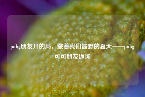 pubg朋友开的局,藏着我们最野的夏天——pubg可可朋友返场