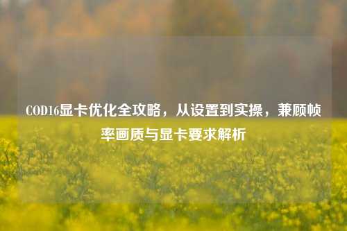 COD16显卡优化全攻略,从设置到实操,兼顾帧率画质与显卡要求解析