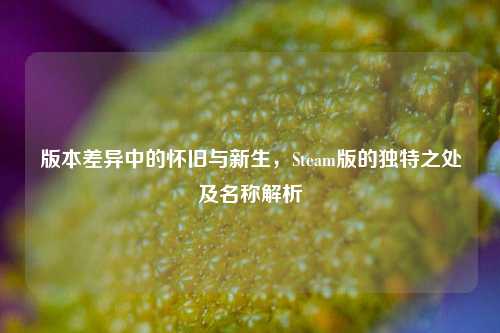 版本差异中的怀旧与新生,Steam版的独特之处及名称解析