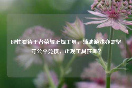 理性看待王者荣耀正规工具，辅助游戏亦需坚守公平竞技，正规工具在哪？