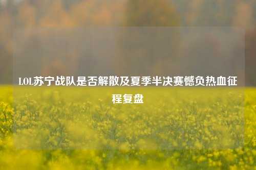 LOL苏宁战队是否解散及夏季半决赛憾负热血征程复盘
