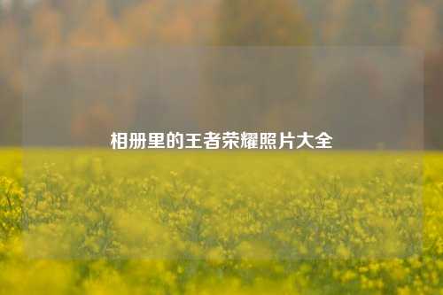 相册里的王者荣耀照片大全