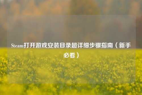 Steam打开游戏安装目录超详细步骤指南(新手必看)