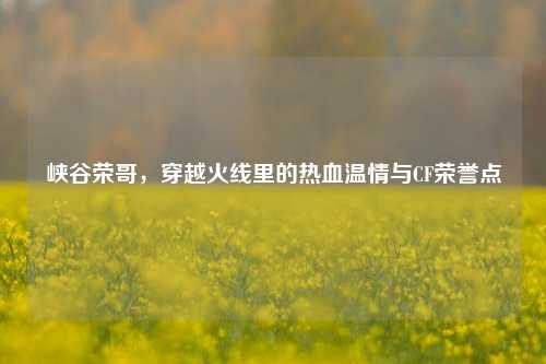 峡谷荣哥,穿越火线里的热血温情与CF荣誉点