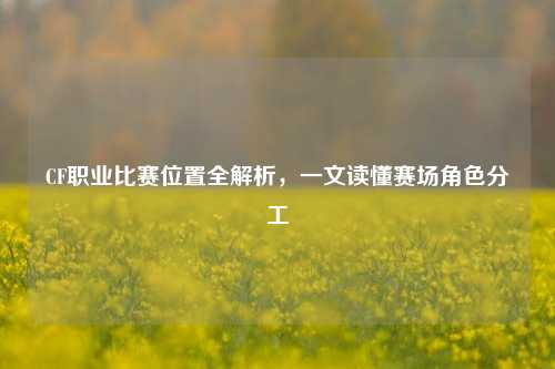 CF职业比赛位置全解析，一文读懂赛场角色分工