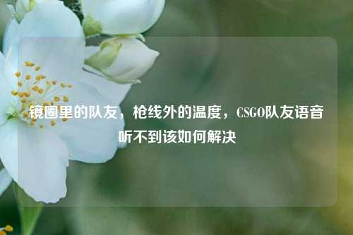 镜圈里的队友,枪线外的温度,CSGO队友语音听不到该如何解决