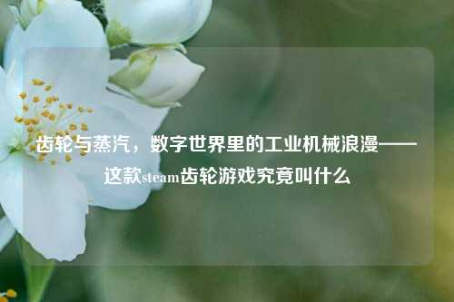 齿轮与蒸汽,数字世界里的工业机械浪漫——这款steam齿轮游戏究竟叫什么