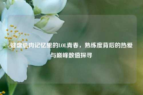 键盘肌肉记忆里的LOL青春，熟练度背后的热爱与巅峰数值探寻