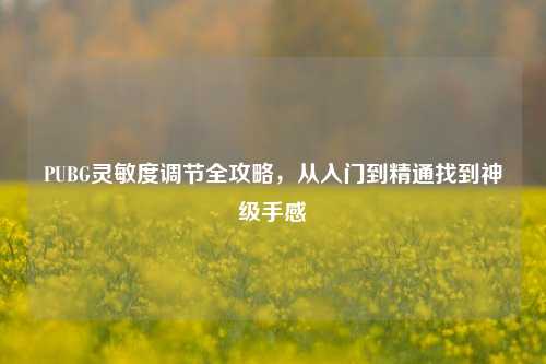 PUBG灵敏度调节全攻略,从入门到精通找到神级手感