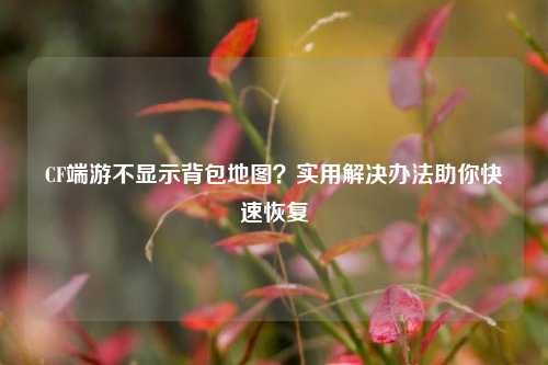 CF端游不显示背包地图?实用解决办法助你快速恢复