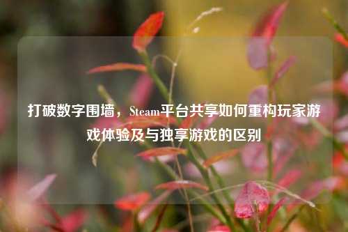 打破数字围墙，Steam平台共享如何重构玩家游戏体验及与独享游戏的区别