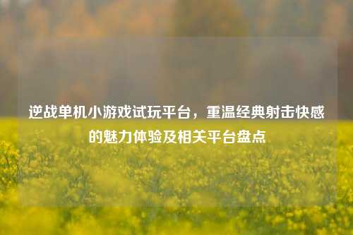 逆战单机小游戏试玩平台,重温经典射击快感的魅力体验及相关平台盘点