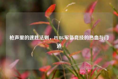 枪声里的速胜法则,PUBG军备竞技的热血与门道