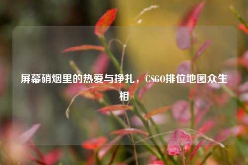 屏幕硝烟里的热爱与挣扎,CSGO排位地图众生相