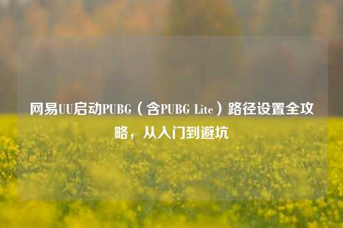 网易UU启动PUBG(含PUBG Lite)路径设置全攻略,从入门到避坑