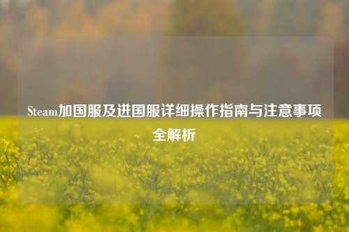 Steam加国服及进国服详细操作指南与注意事项全解析
