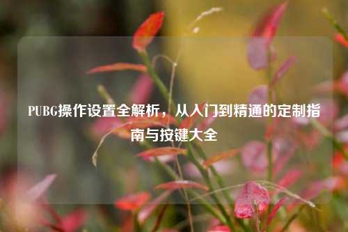 PUBG操作设置全解析，从入门到精通的定制指南与按键大全