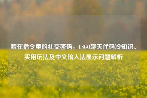 藏在指令里的社交密码,CSGO聊天代码冷知识、实用玩法及中文输入法显示问题解析