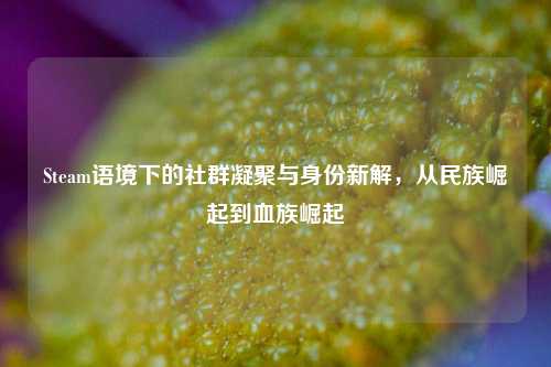 Steam语境下的社群凝聚与身份新解,从民族崛起到血族崛起