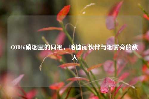 COD16硝烟里的同袍,哈迪丽伙伴与烟雾旁的敌人