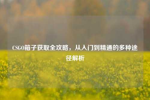 CSGO箱子获取全攻略,从入门到精通的多种途径解析