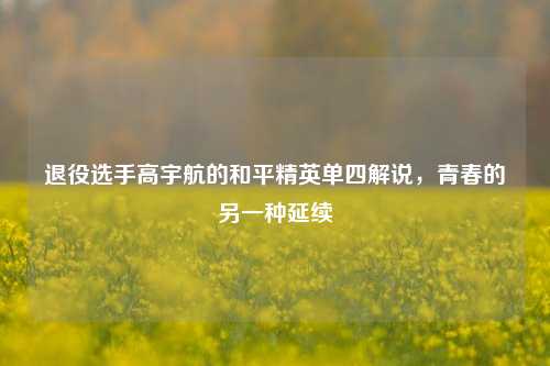 退役选手高宇航的和平精英单四解说,青春的另一种延续