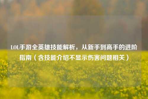 LOL手游全英雄技能解析,从新手到高手的进阶指南(含技能介绍不显示伤害问题相关)