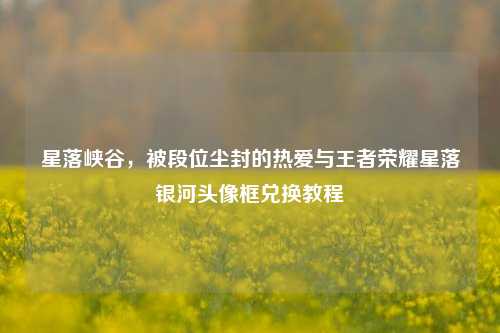 星落峡谷,被段位尘封的热爱与王者荣耀星落银河头像框兑换教程