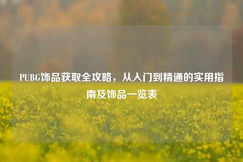 PUBG饰品获取全攻略,从入门到精通的实用指南及饰品一览表